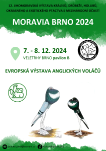 holubi_cz.png