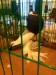 d3_image (1)