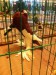 d3_image (4)